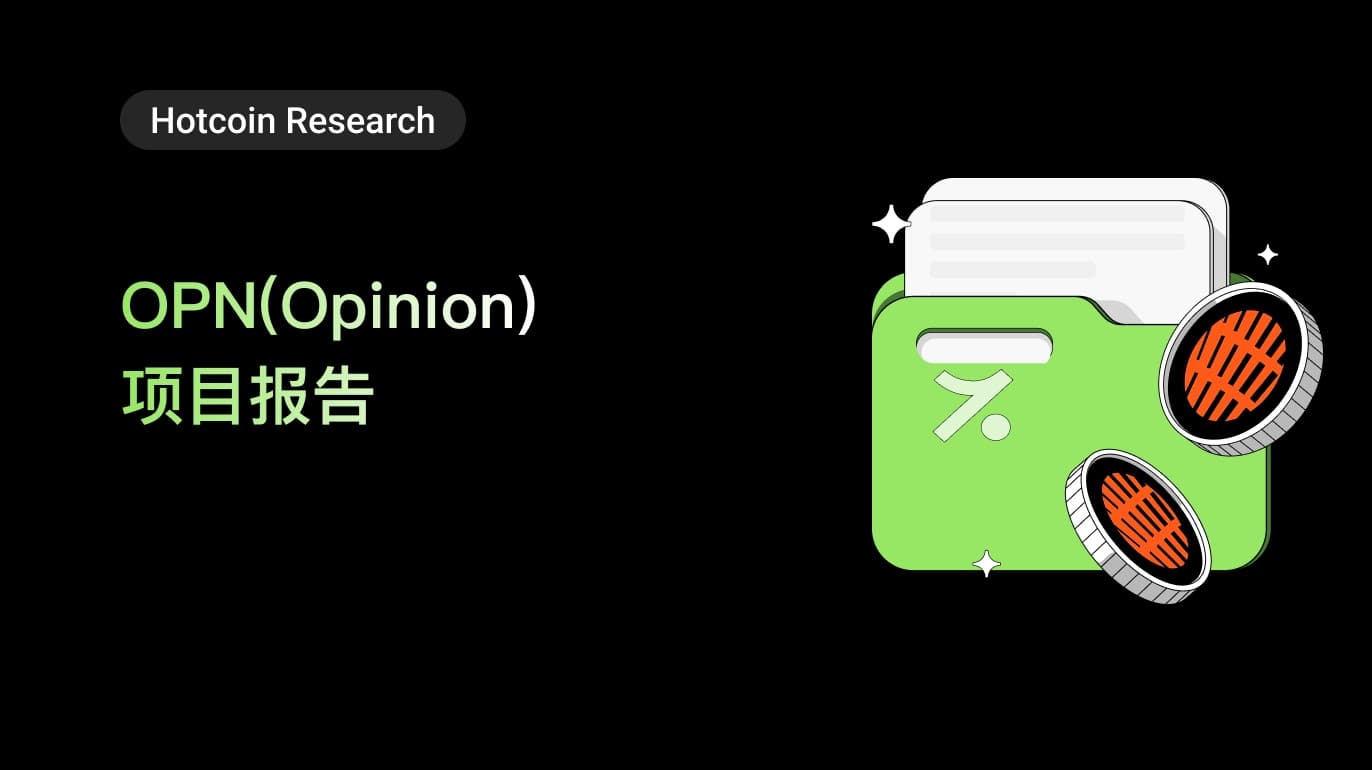 OPN(Opinion)项目报告